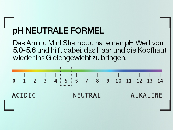 Redken Amino Mint Shampoo 300ml