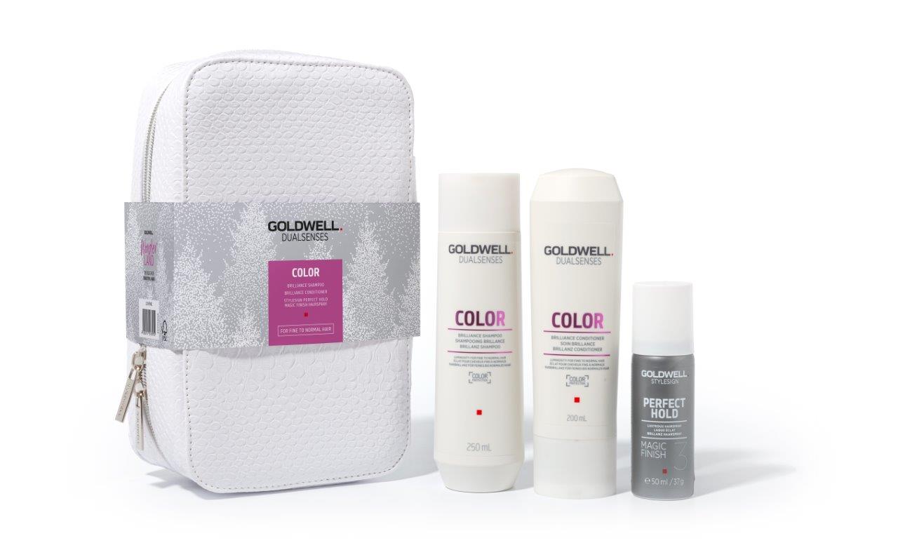 Goldwell Dualsenses Color Geschenkset - für feines bis normales Haar