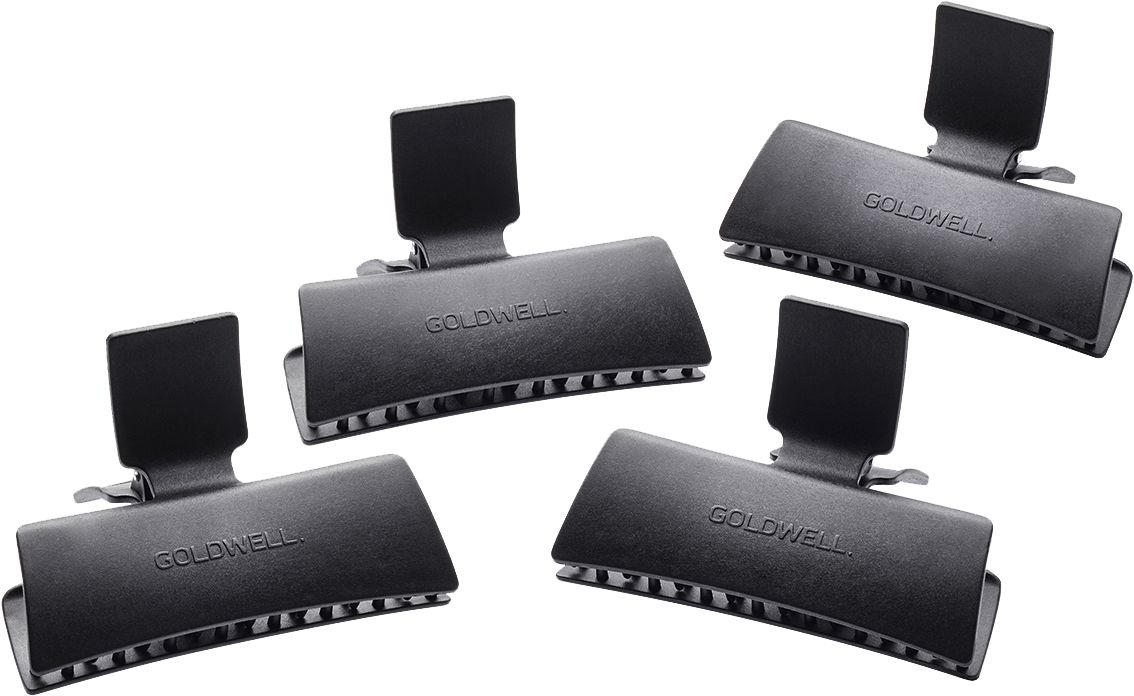 Goldwell Zubehör Pro Edition Butterfly Clipse Set 1=4